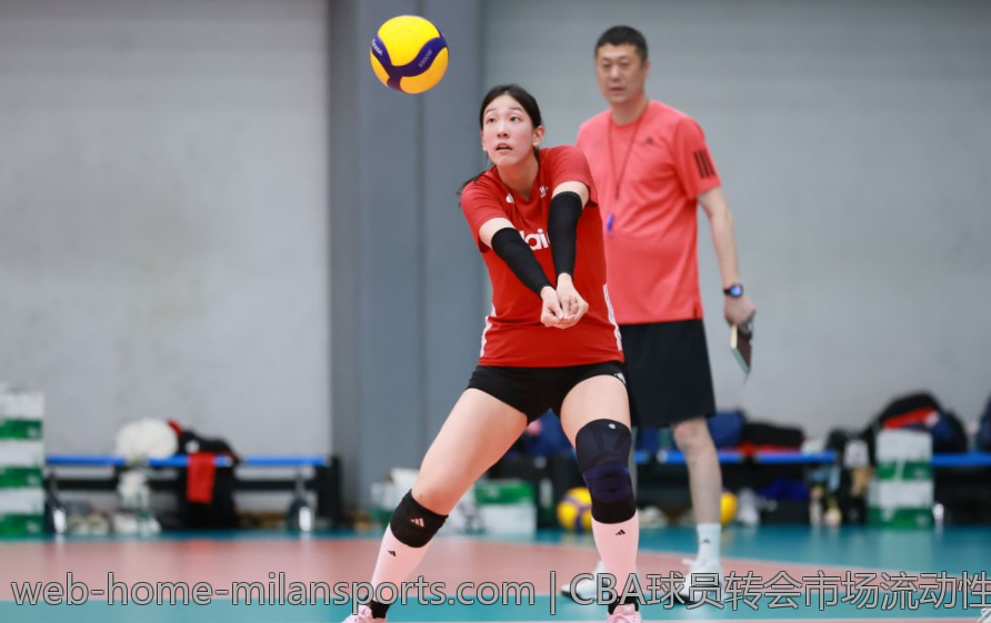 CBA球员转会市场流动性研究